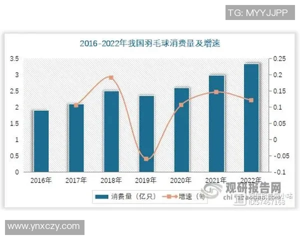 广州羽毛球队意识表现的数据分析与提升策略探讨