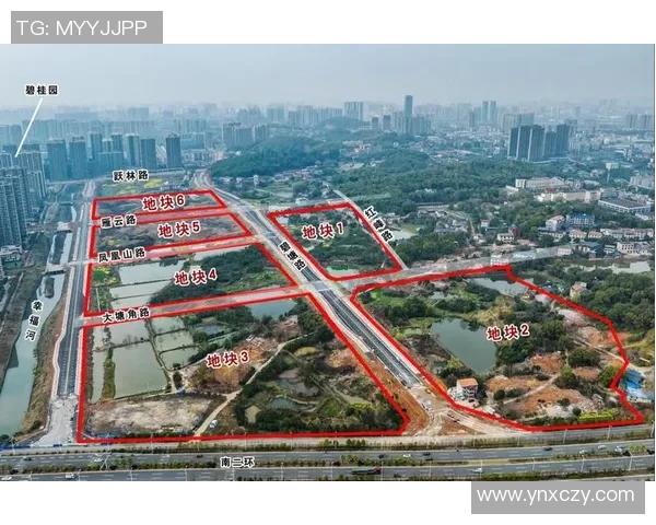 深圳极限运动队状态分析与未来发展趋势探讨