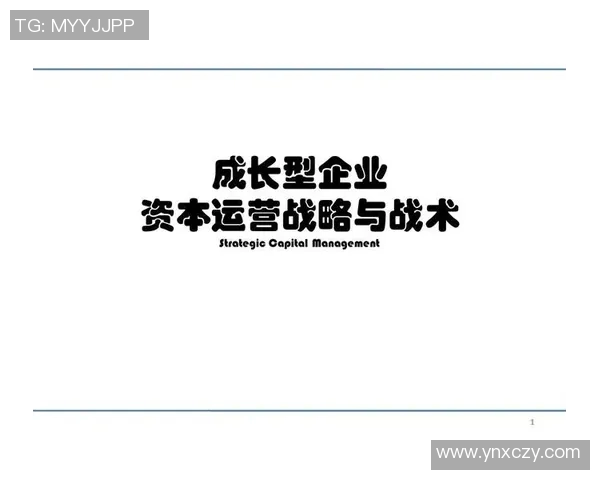 深圳排球队的战术创新与运营体系探讨与分析