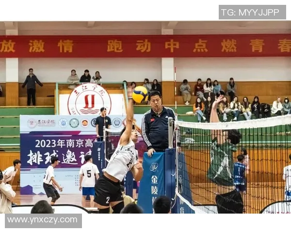 上海排球队团队协作的创新与变革引发热议与关注