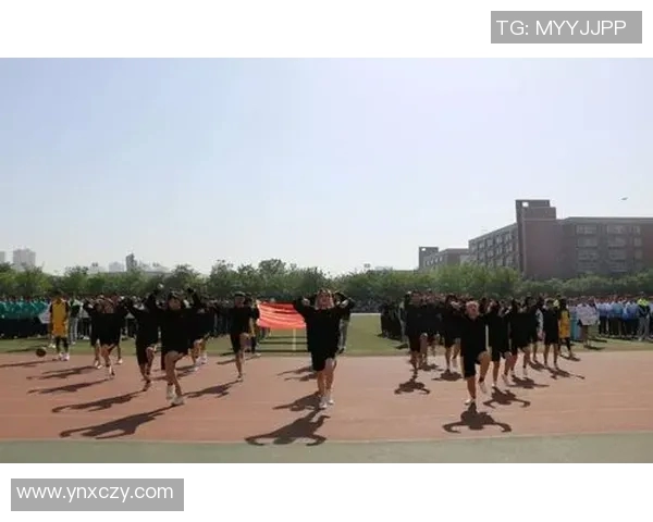 广州网球队进攻体系解析:网球战术的创新与实践探讨