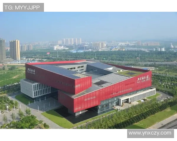 武汉羽毛球队的逆袭之旅全景纪实与奋斗精神的真实写照