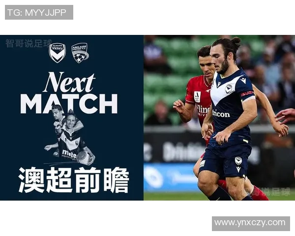 墨尔本胜利对恒大比赛前瞻与胜负预测分析及关键球员表现展望