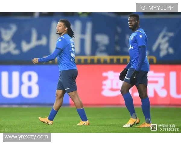 梦12队逆袭法国队展现青春力量引发球迷热议