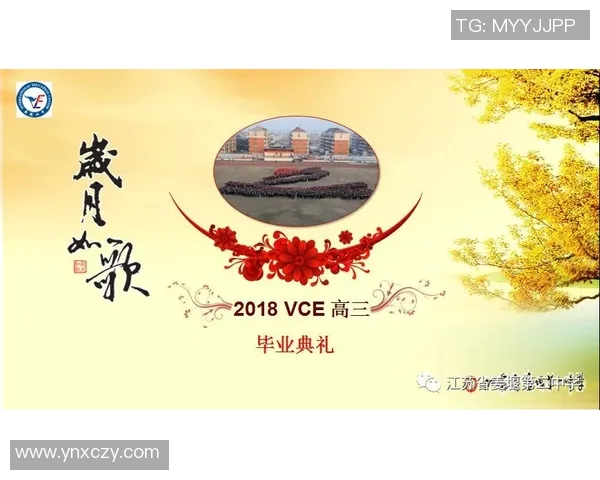 何思雨的成长故事：在风雨中绽放的青春与梦想